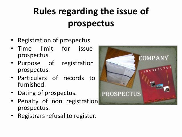 Business Prospectus Example Fresh Business Prospectus Frenchessayist X Fc2