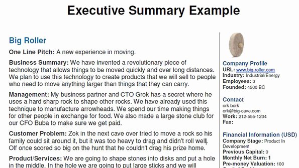 Business Summary Example Beautiful 13 Executive Summary Templates Excel Pdf formats