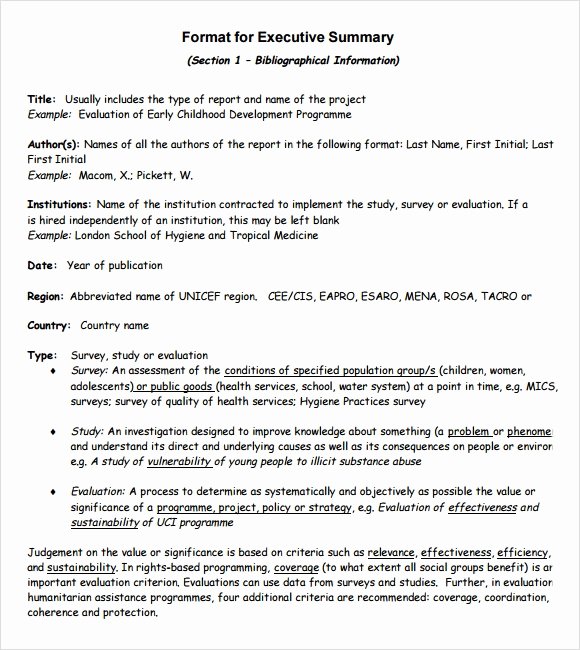 Business Summary Example Fresh Sample Executive Summary Template 8 Documents In Pdf