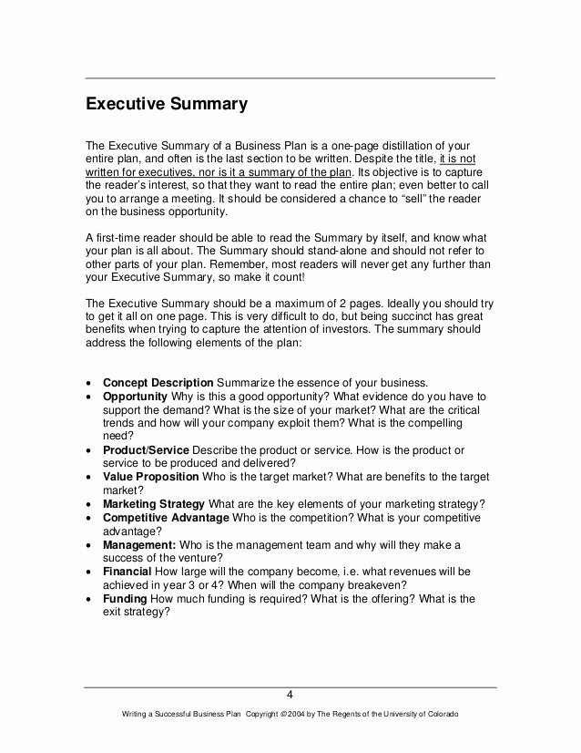 Business Summary Example Luxury How to Write A Great Business Plan