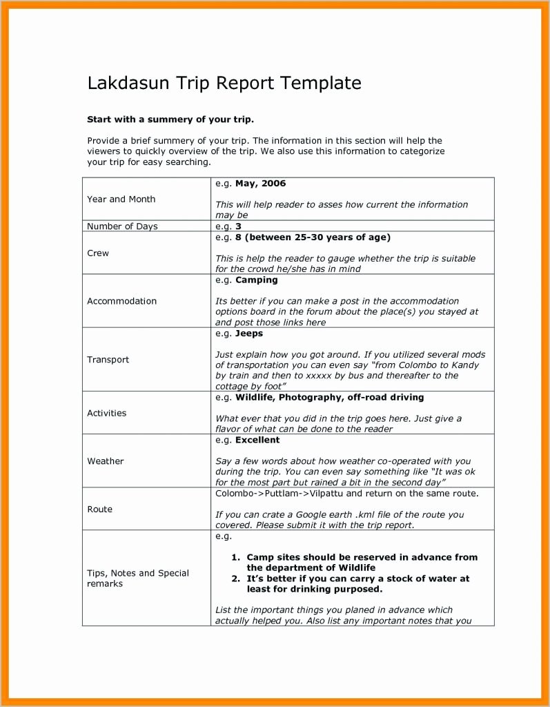 Business Trip Report Template Inspirational 12 Business Trip Report Examples Pdf Word Apple