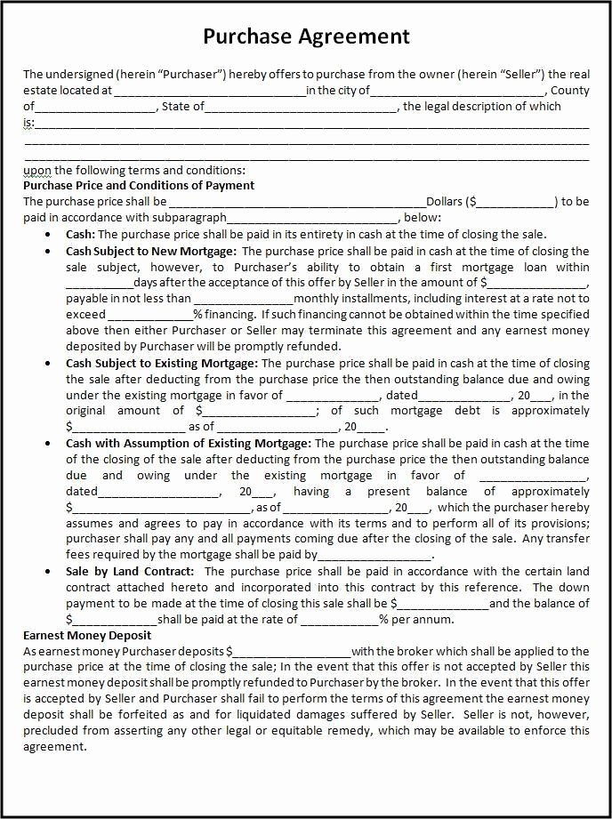 Buyout Agreement Template New Purchase Agreement Template