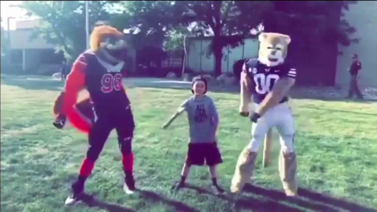 Byu Act Sat Conversion New Utah Utes and byu Cougars Mascots Caught ‘flossin’ On