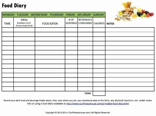 Calorie Counter Spreadsheet Awesome 16 Fresh Daily Calorie Counter Spreadsheet S