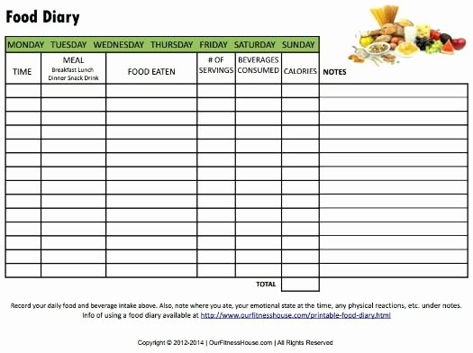 Calorie Counter Spreadsheet Awesome 16 Fresh Daily Calorie Counter Spreadsheet S