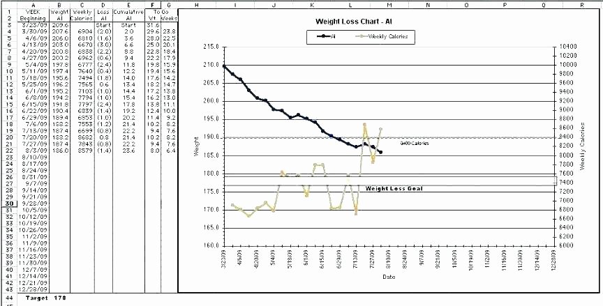 Calorie Counter Spreadsheet Best Of Calorie Spreadsheet Line Food Calorie Spreadsheet