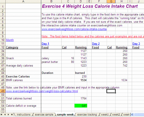 Calorie Counter Spreadsheet Elegant Calorie Counter Worksheet the Best Worksheets Image