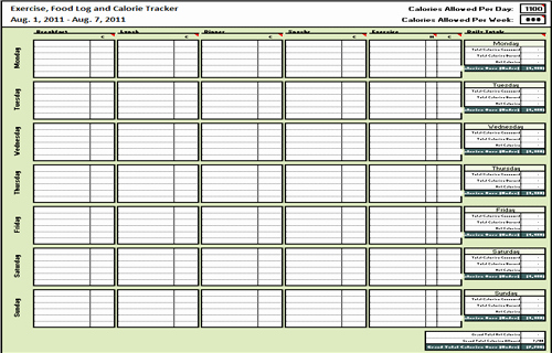 Calorie Counter Spreadsheet Fresh 5 Free Food Journal Templates Excel Pdf formats