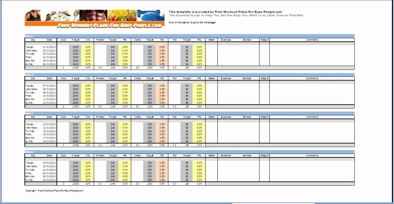 Calorie Counter Spreadsheet Fresh Blank Shmank Calorie Counter Spreadsheet Free Download