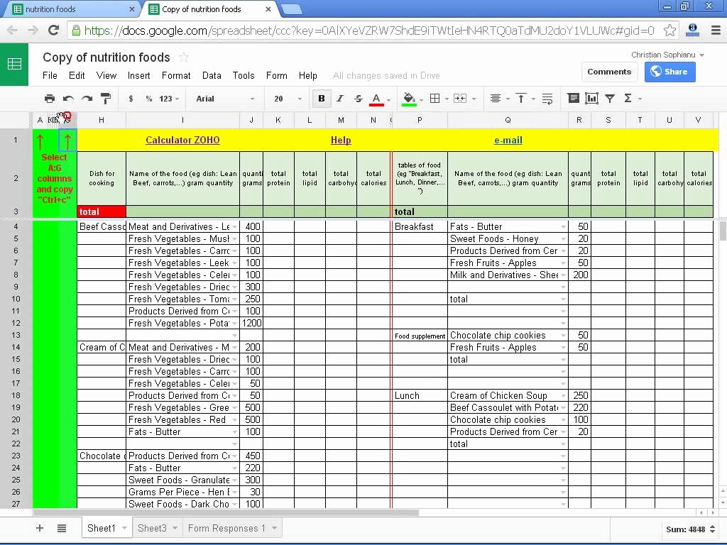 Calorie Counter Spreadsheet Lovely Nutrition Facts Calculator for Recipes Nutrition Ftempo