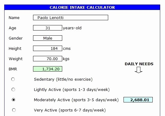 Calorie Counter Spreadsheet New Workout Tracker Calorie Counter…all In Excel Excel with