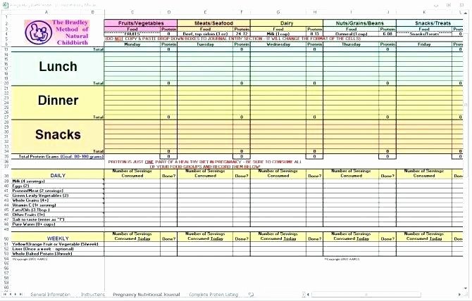 Calorie Counter Spreadsheet Unique Calorie Spreadsheet Line Food Calorie Spreadsheet