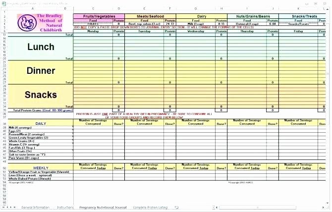 Calorie Counter Spreadsheet Unique Calorie Spreadsheet Line Food Calorie Spreadsheet