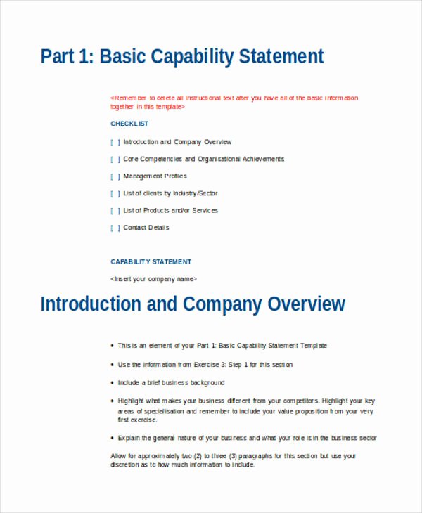 Capability Statement Template Doc Beautiful 33 Statement Examples In Word