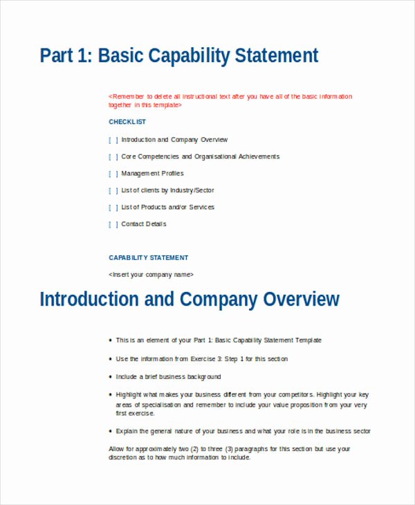 Capability Statement Template Doc Beautiful 33 Statement Examples In Word