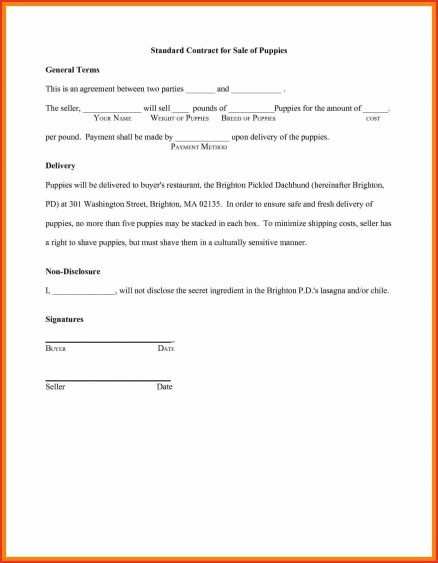 Car Accident Payment Agreement Letter Sample Unique Payment Agreement Between Two Parties and Simple Loan with