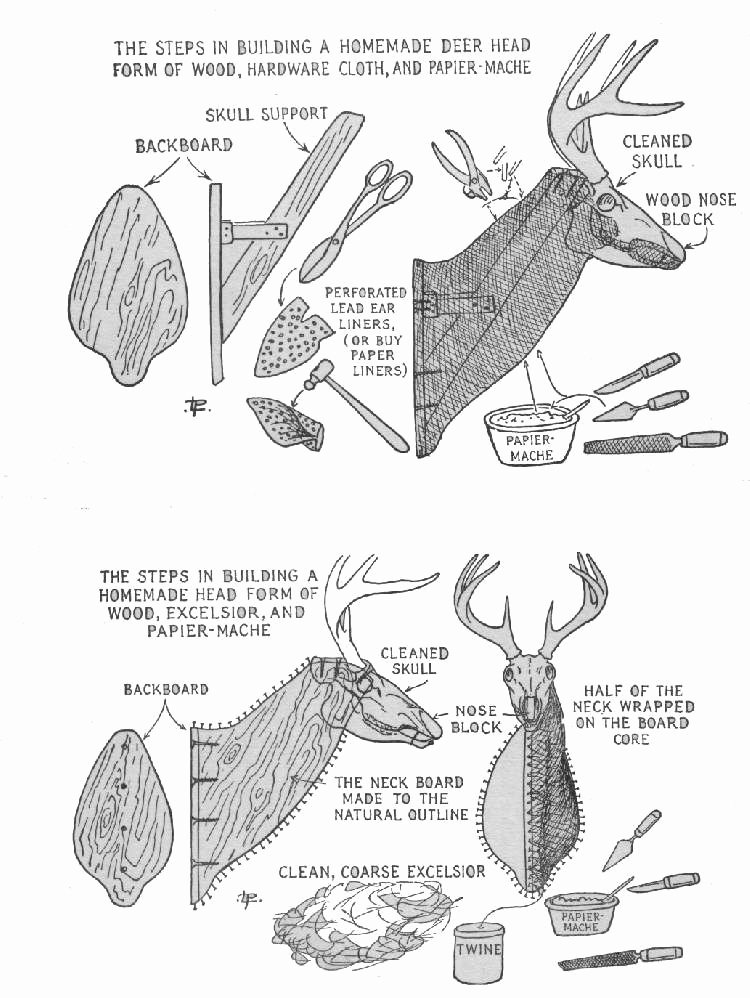 Cardboard Deer Head Template Elegant 17 Paper Mache Deer Head Diy Instructions