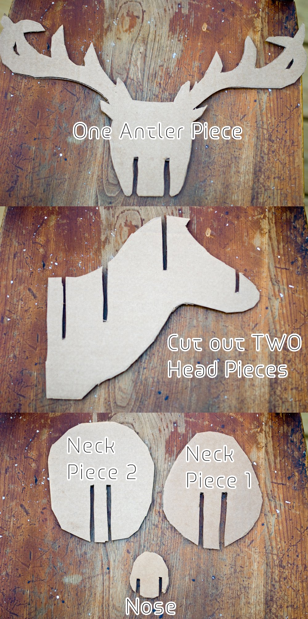 Cardboard Taxidermy Templates Awesome Faux Taxidermy Deer Diy