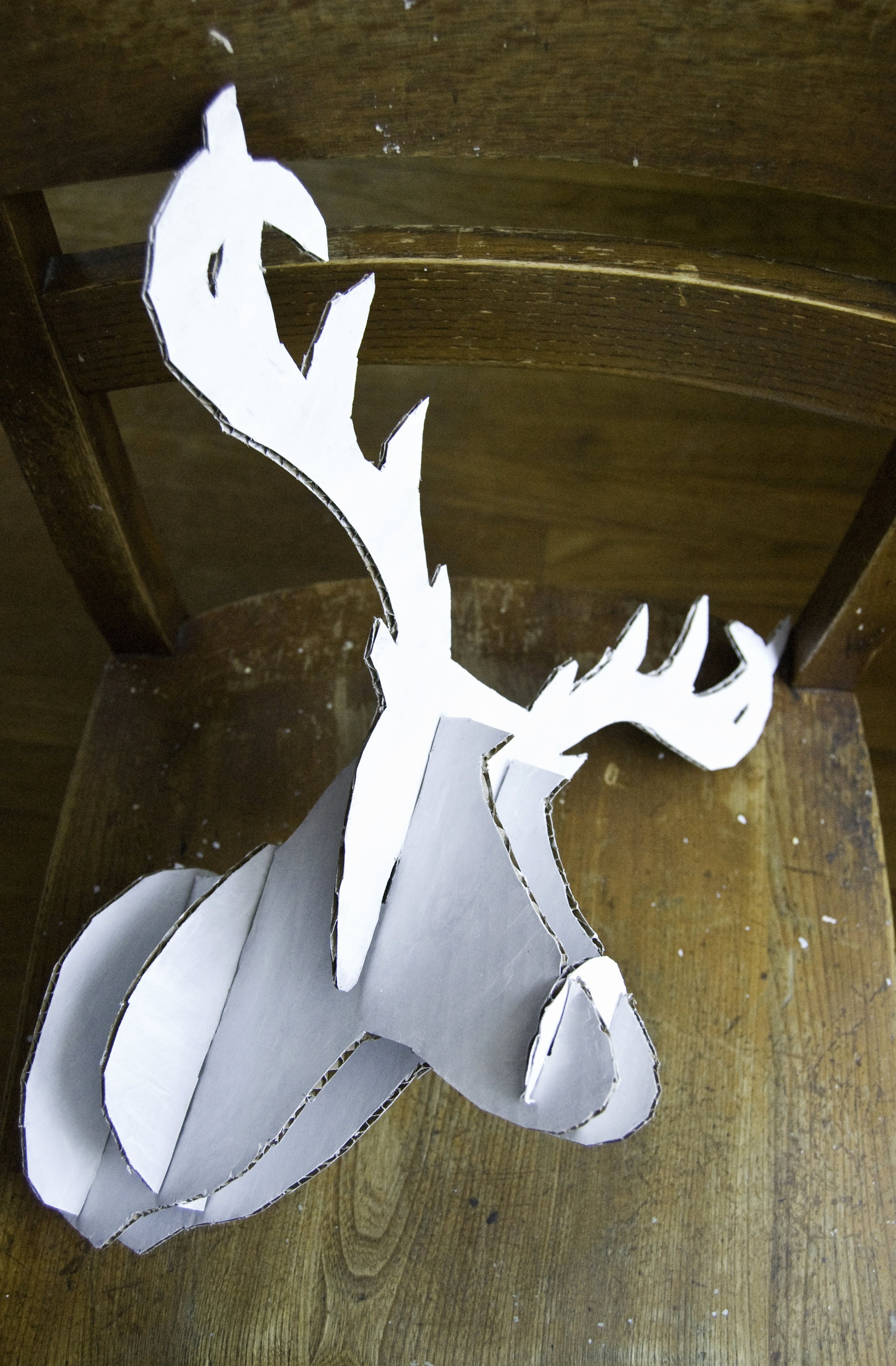 Cardboard Taxidermy Templates Best Of Teen Diy Diy Faux Taxidermy Deer