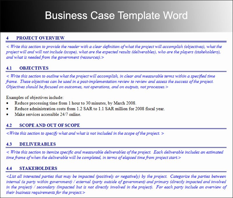 Case Review Template Best Of Business Case Template