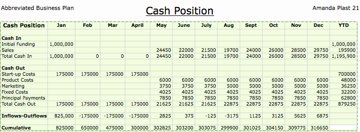 Cash Position Report Template Inspirational Business Portfolio Cash Position