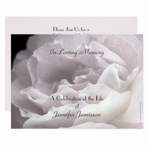 Celebration Of Life Invitation Beautiful Celebration Of Life Invitation Pale Pink Rose