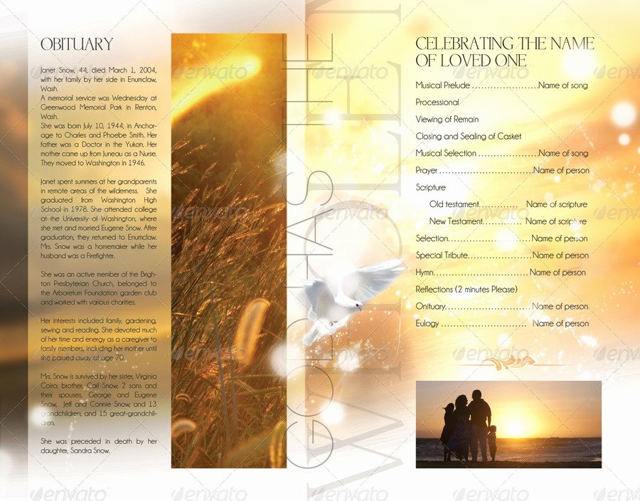 Celebration Of Life Program Template Best Of Celebration Of Life Funeral Program Brochure Template by