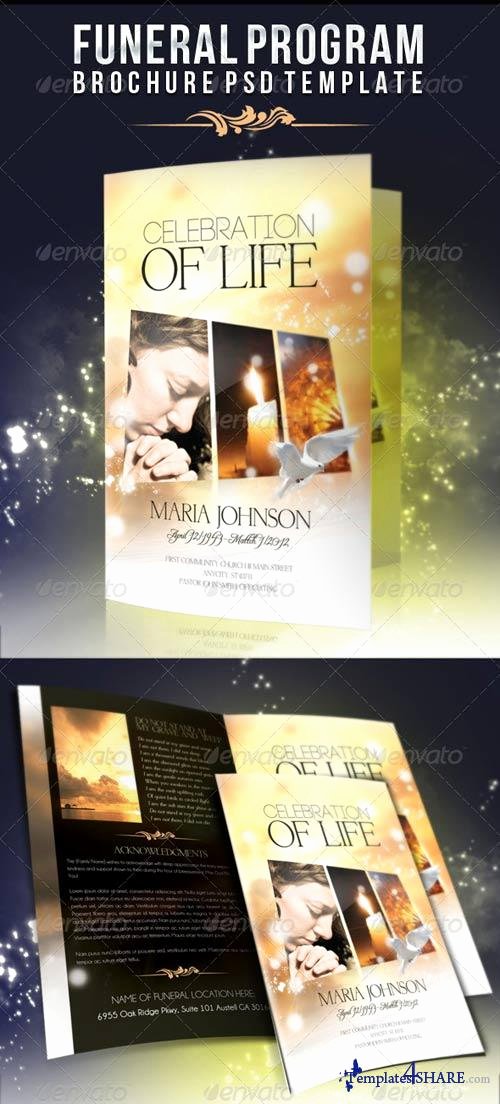 Celebration Of Life Program Template Elegant Graphicriver Celebration Of Life Funeral Program