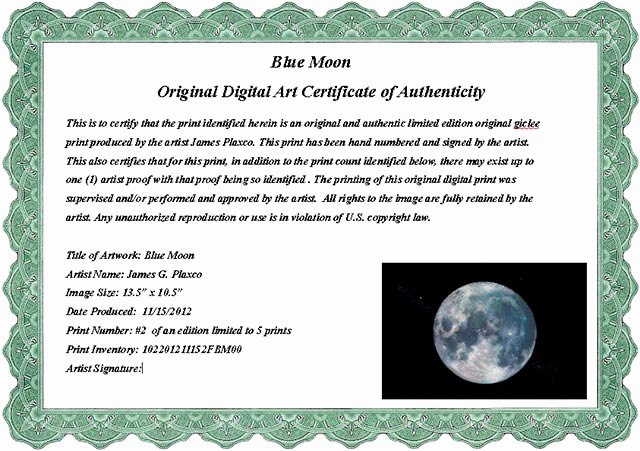 Certificate Of Authenticity Template Best Of Certificate Authenticity Wording