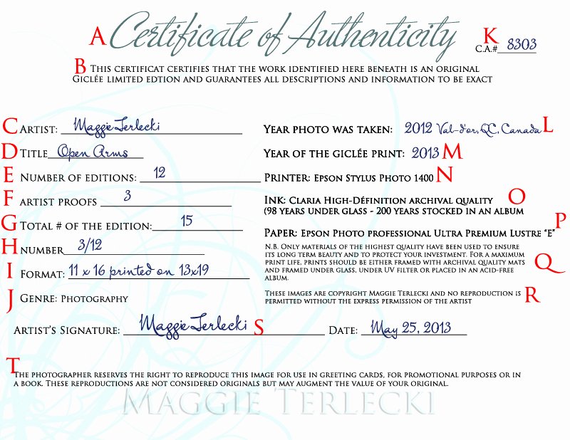 Certificate Of Authenticity Template Inspirational Certificate Authenticity Graphy