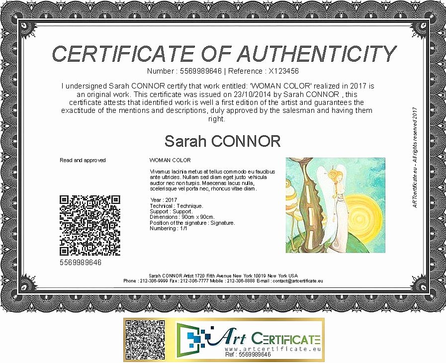 Certificate Of Authenticity Template Lovely Artcertificate