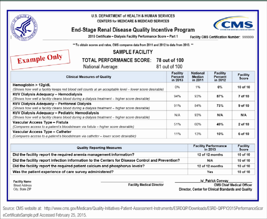 Certificate Of Quality Template New Quality Incentive Program Sample 2015 Performance Score