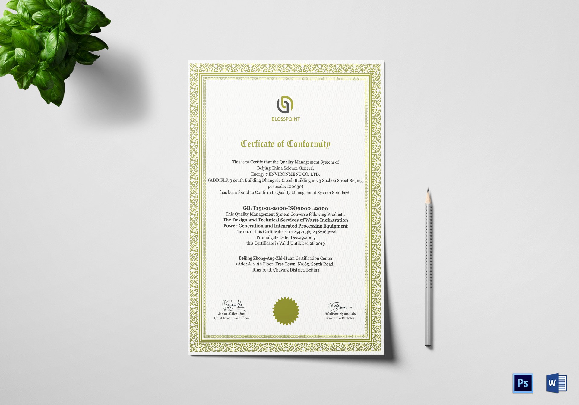 Certificate Of Quality Template Unique Simple Conformity Certificate Design Template In Psd Word