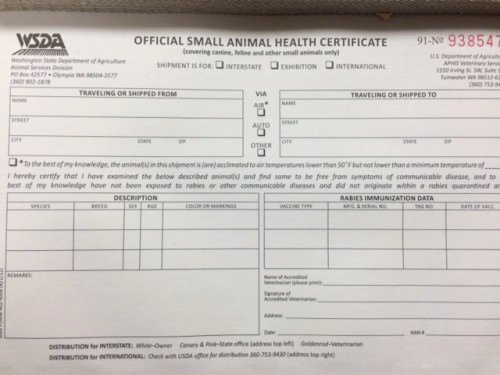 Certification Of Medical Records form Inspirational Interstate Health Certificate Shot Record International