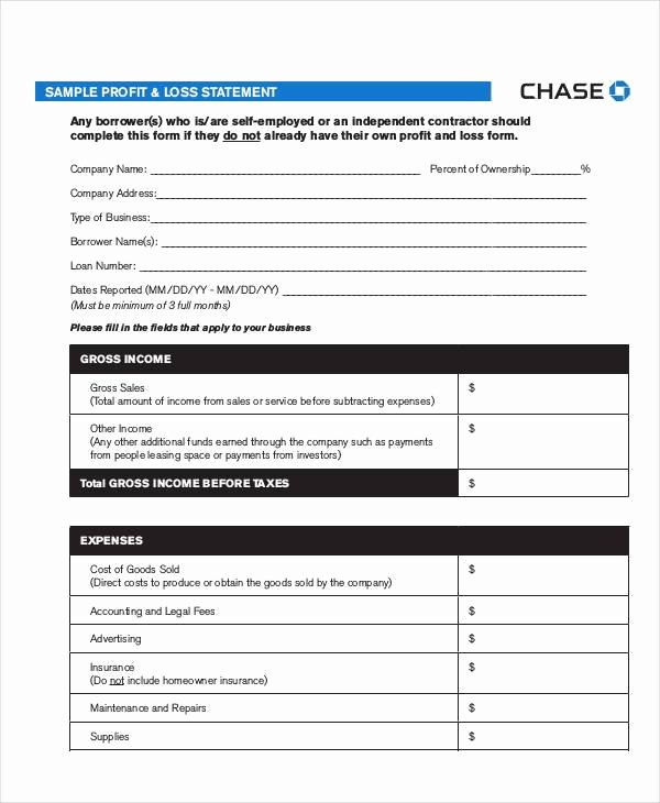 Chase Bank Check Template Beautiful Chase Bank Statement Pdf Sample