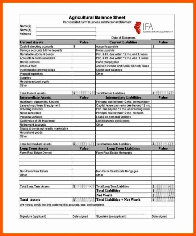 Checking Account Balance Sheet Template Lovely Checking Account Balance Sheet Template Sampletemplatess