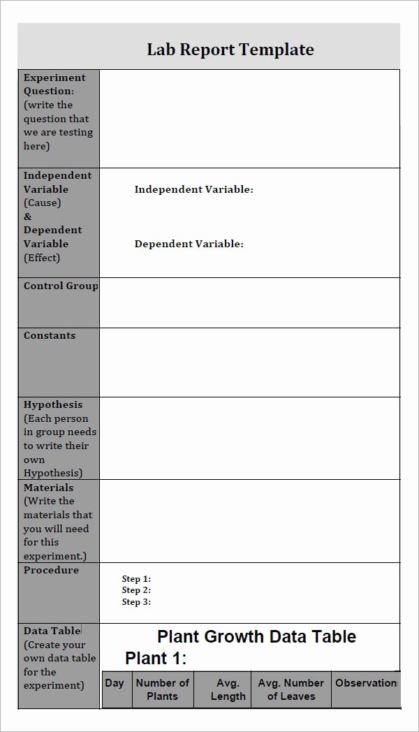 Chemistry Lab Report Template Fresh 7 Lab Report Templates