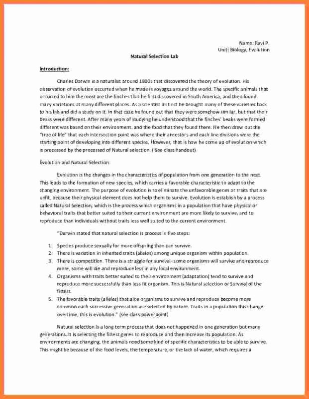 Chemistry Lab Report Template New Chemistry Lab Report Template