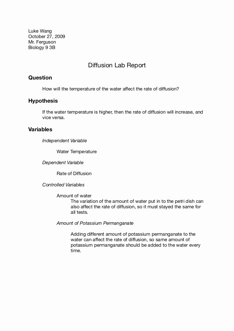 Chemistry Lab Report Template Unique Chemistry Lab Report Outline Great College Essay