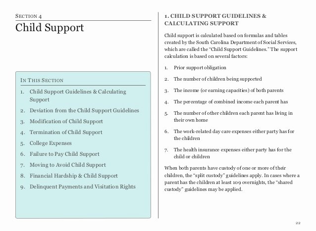 Child Relocation Agreement Template Fresh Divorce In south Carolina Piecing It All to Her