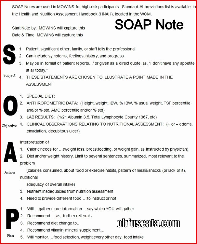 Chiropractic soap Note Example Best Of What is A soap Note