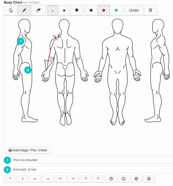 Chiropractic soap Notes Template Free Luxury Chart Parts for Creating A Chart Template