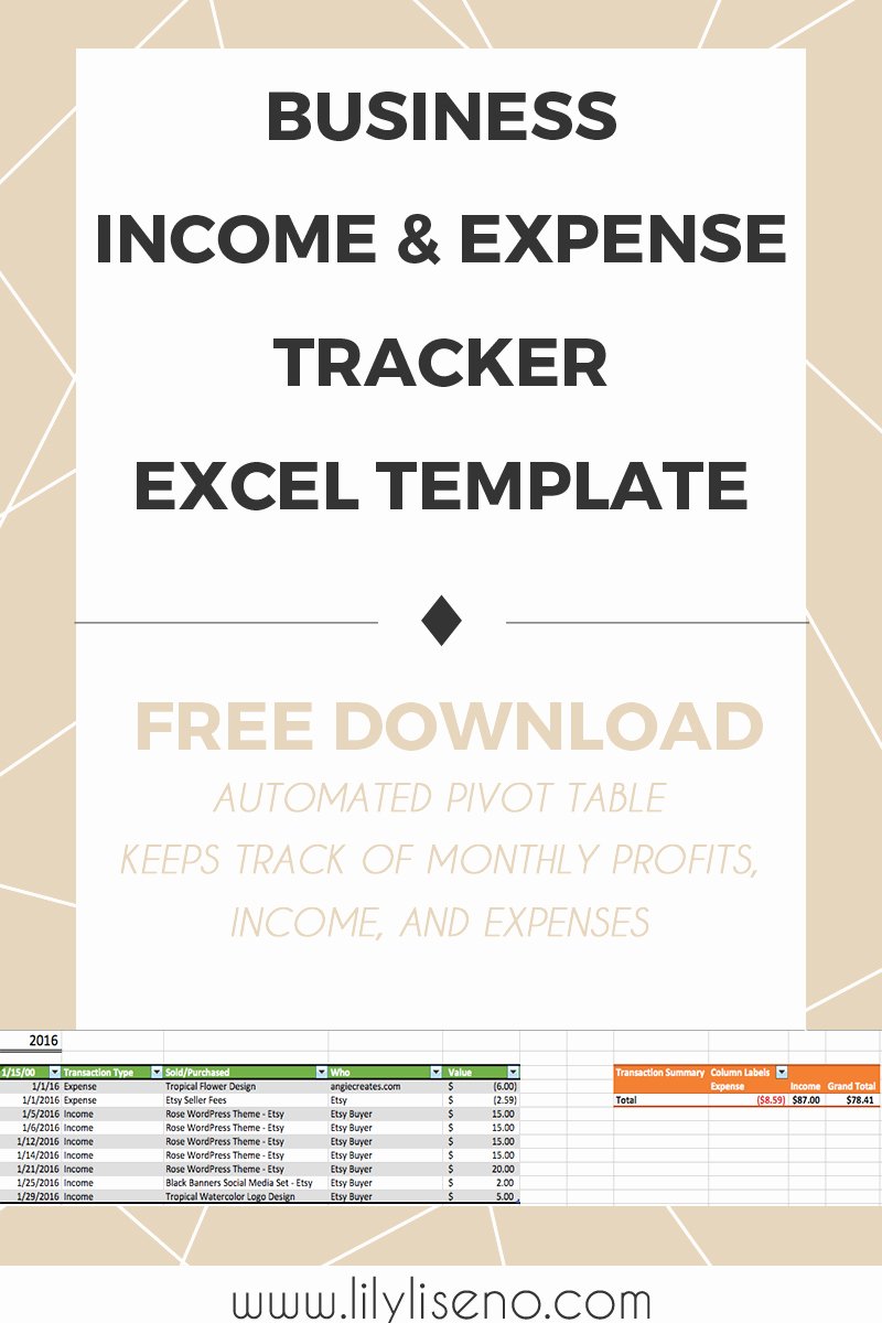Church Income and Expense Statement Template Luxury In E and Expense Tracker Excel Template Free Download