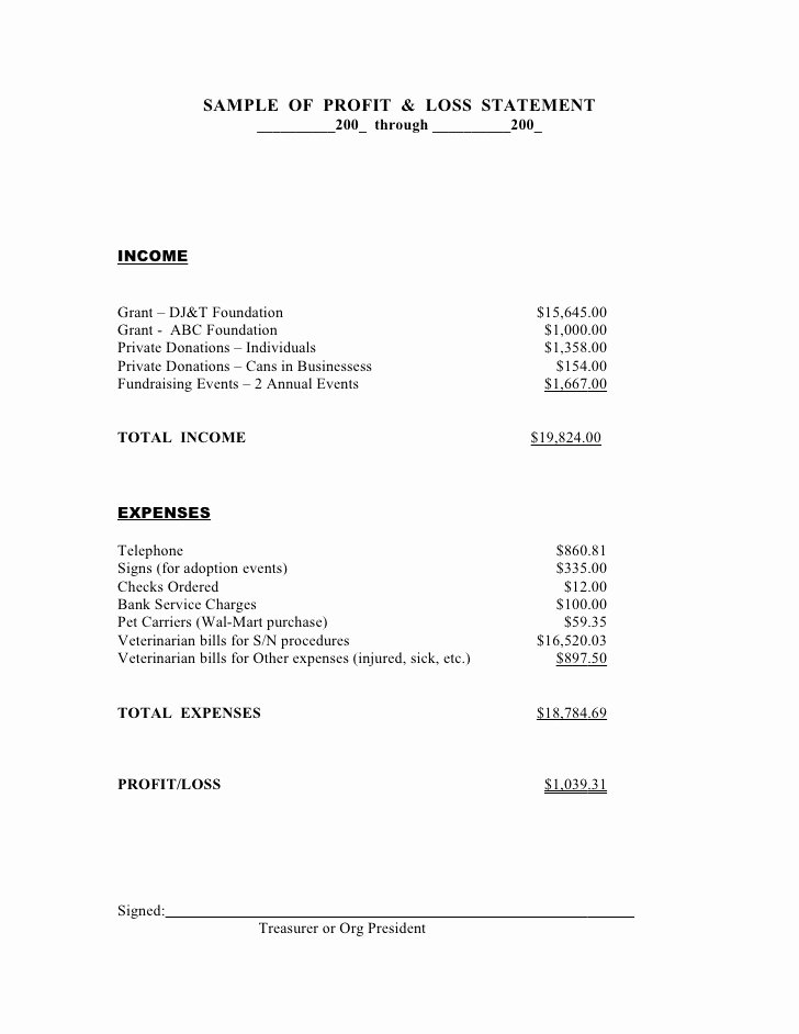 Church Income and Expense Statement Template New Profit Loss Statement Sample