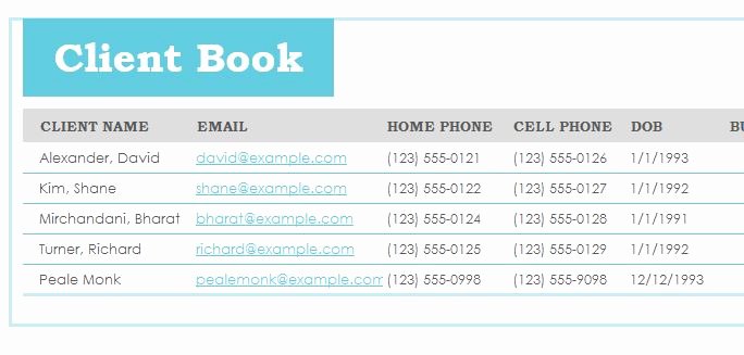 Client Database Template Awesome Client Database Templates for Ms Excel