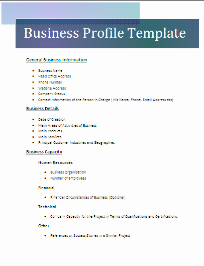 Client Profile Template Word Inspirational Business Profile Template