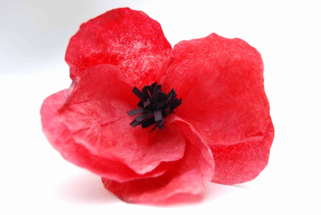 Coffee Filter Roses Template Best Of Coffee Filter Poppy Diy Same Instructions for Filters as