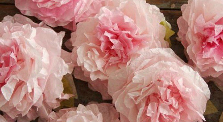 Coffee Filter Roses Template Unique Peony Coffee Filter Flowers Spring Inspiration Hoosier