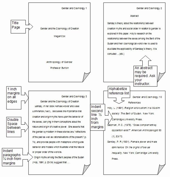 College Essay format Apa Fresh Graduate Paper format Edtzo2ya