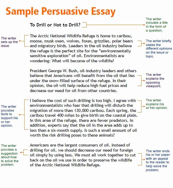 College Essay Hooks Examples